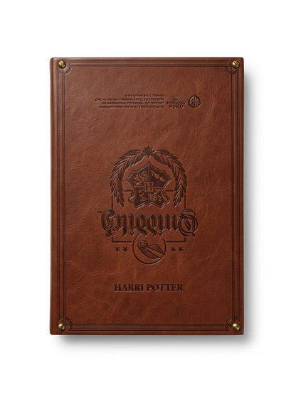 Harry Potter Golden Snitch Vintage Diary