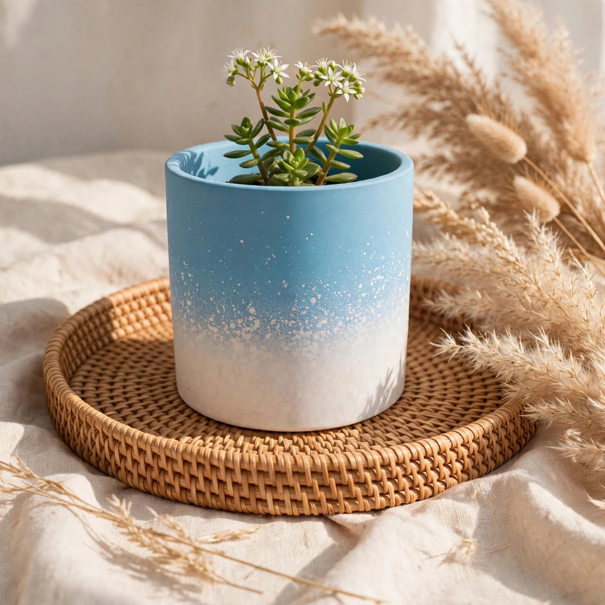 FLOWER POT EDU-75-24