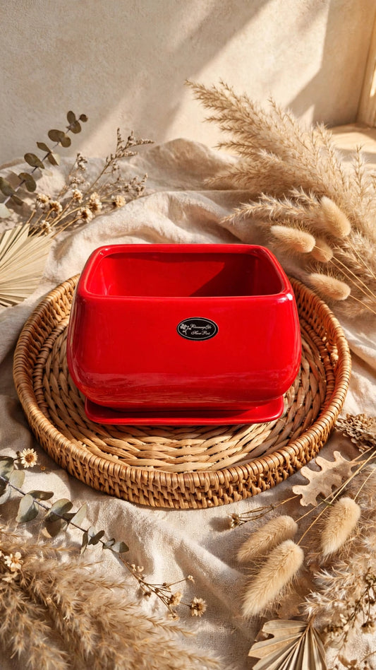 CERAMIC FLOWER POT HH-139