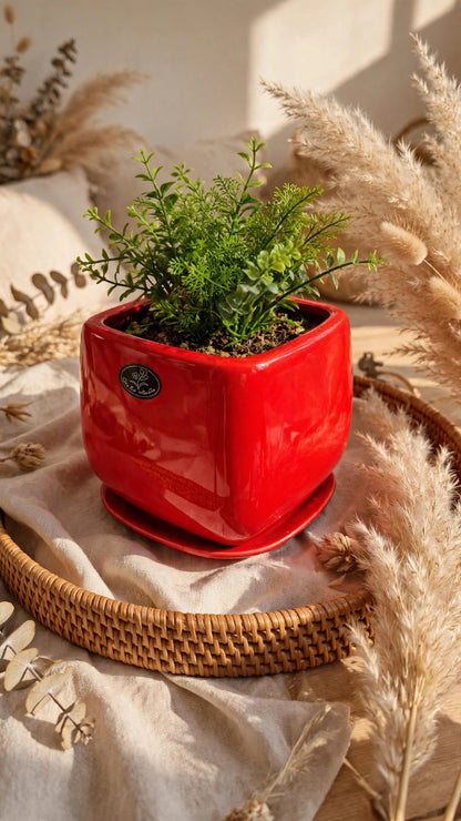 CERAMIC FLOWER POT HH-145