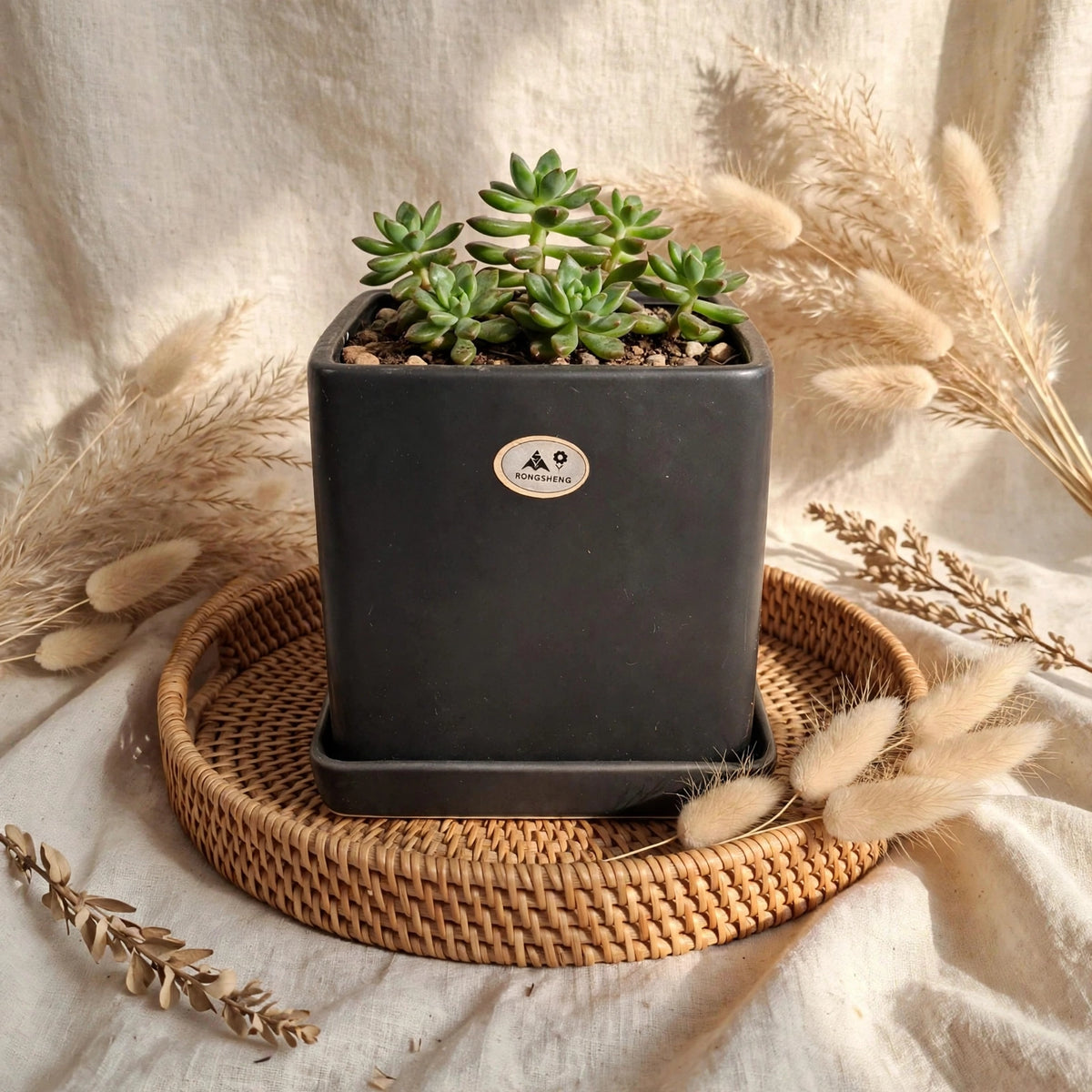 CERAMIC FLOWER POT FR337