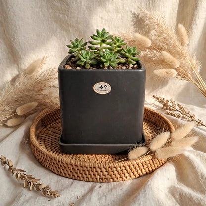 CERAMIC FLOWER POT FR337