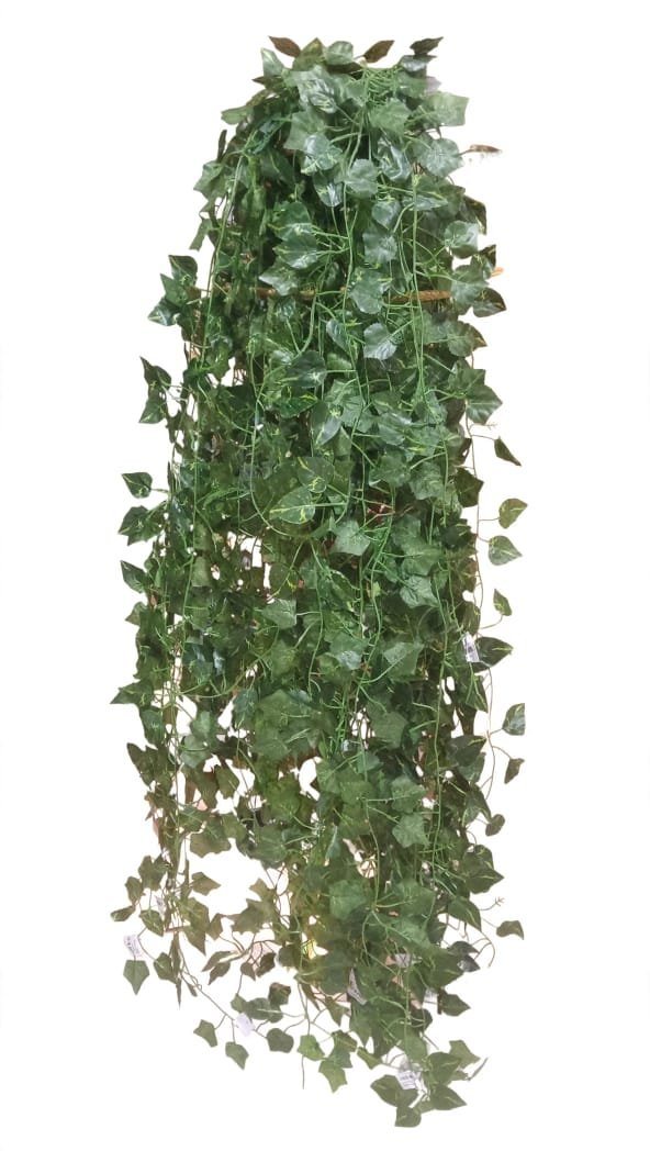 Leaf Cheaper 3 PC