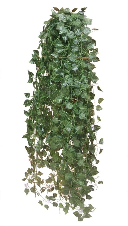 Leaf Cheaper 3 PC