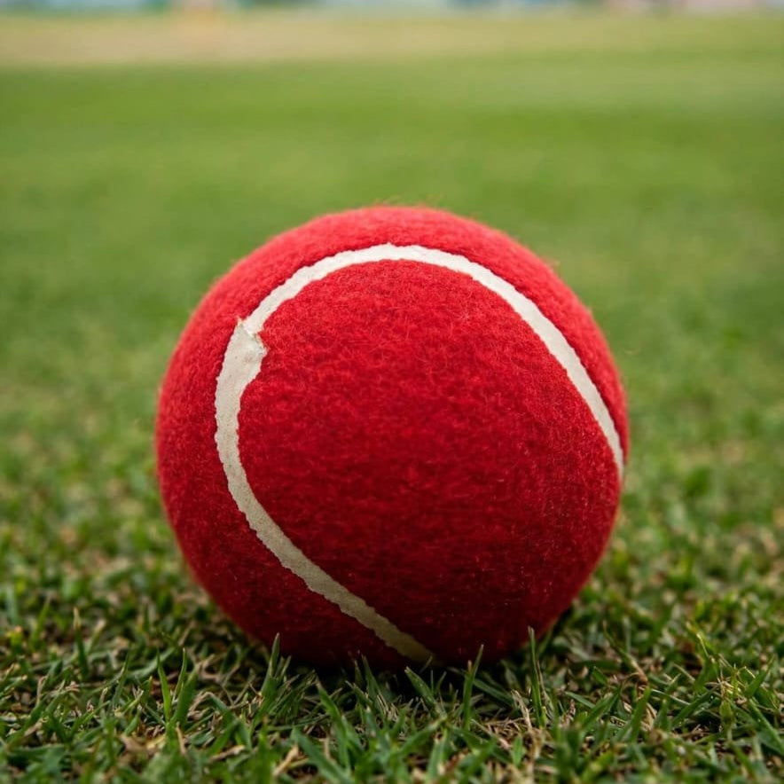 Guru  Cricket Ball