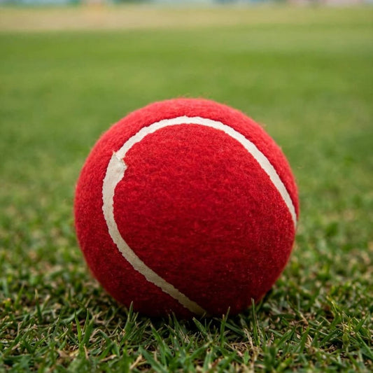 Guru  Cricket Ball