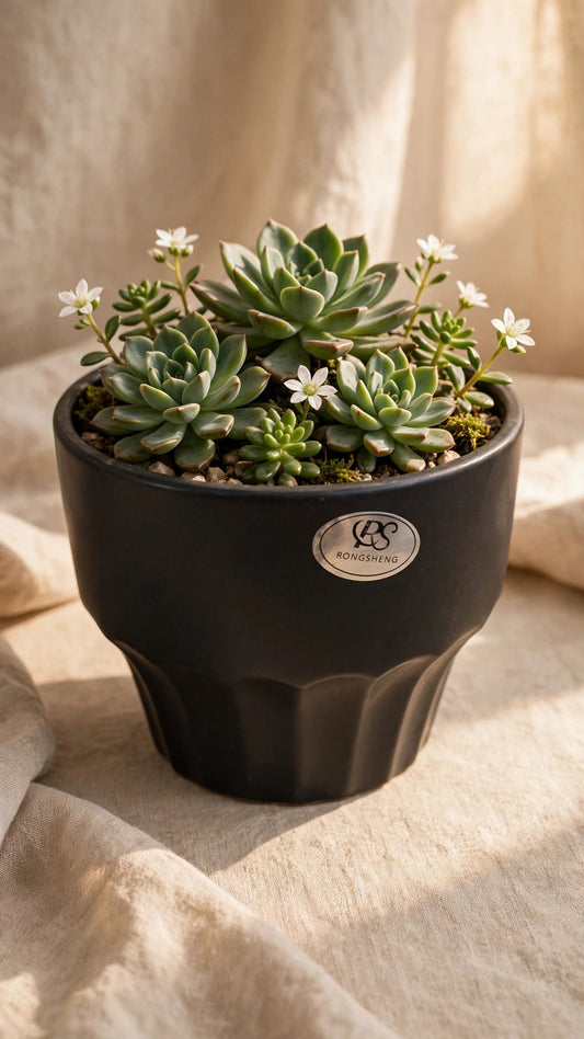 CERAMIC FLOWER POT AB-86